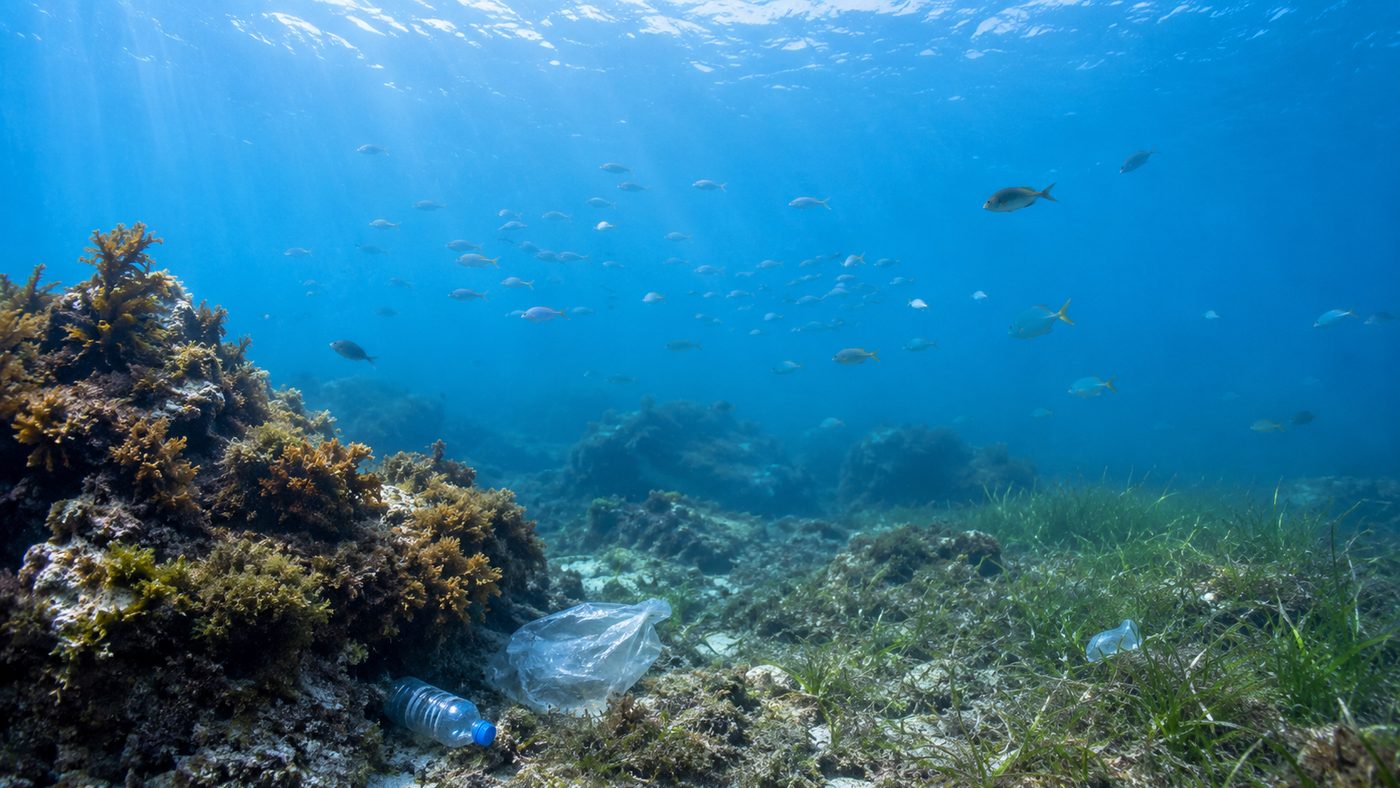 Underwater habitat with fish and small pieces of pollution